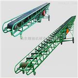 山东耐高温输送机产品概览与价格指南